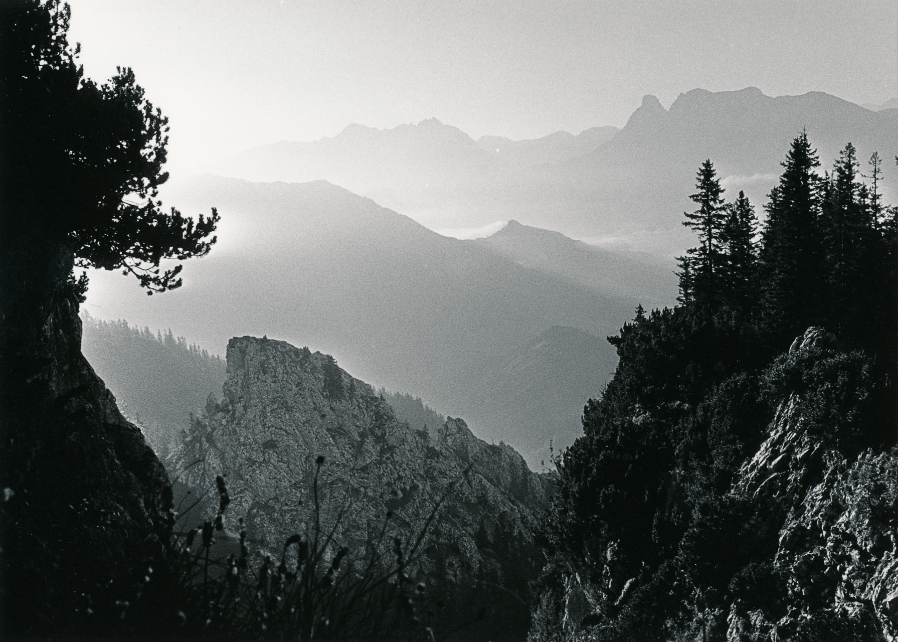 Hiking up to the summit of Großer Pyhrgas, a mountain in Upper Austria. Fujica 645, Trix, Rodinal stand dev. Print 13x18. 